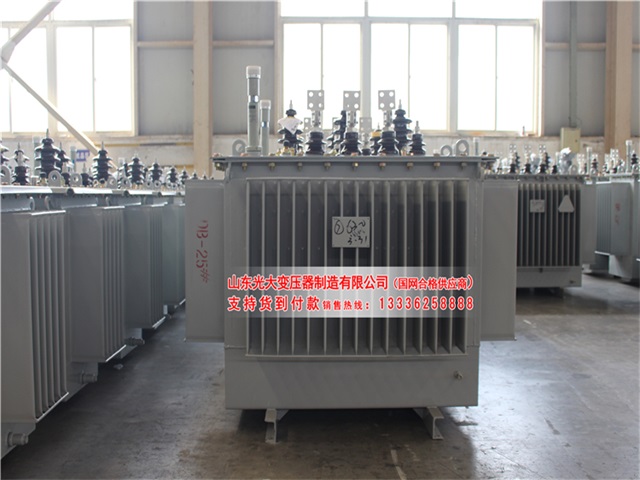 楚雄S22-4000KVA油浸式变压器